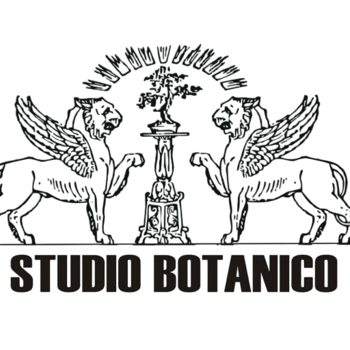 Studio Botanico Bonsai
